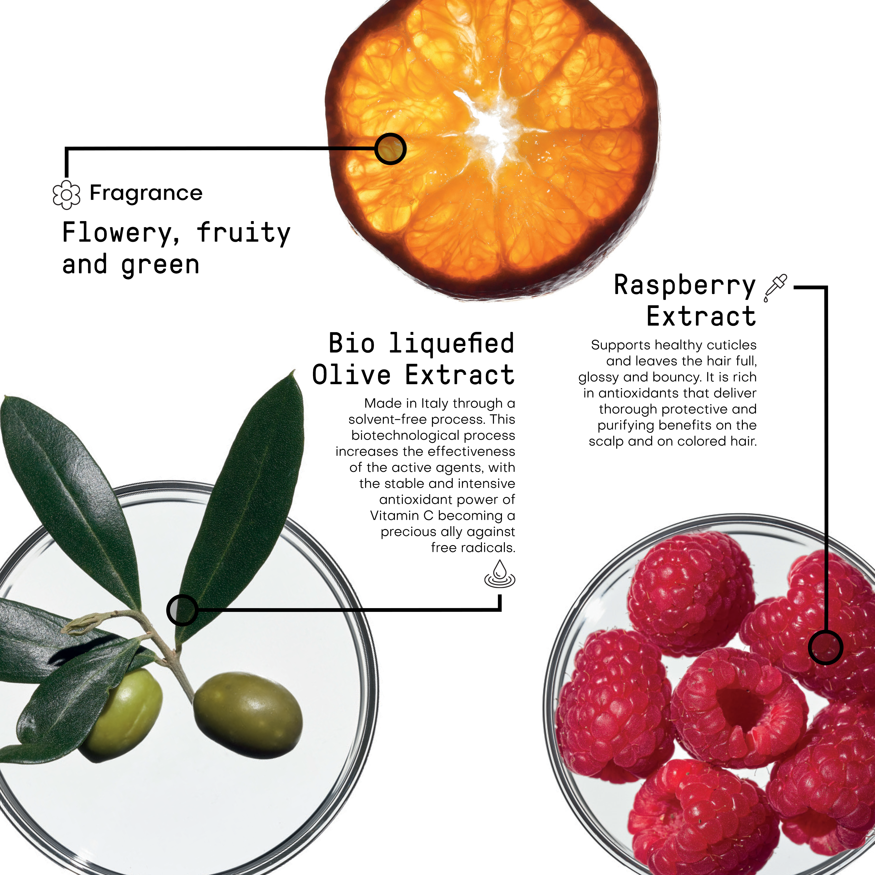 Color Protect Ingredients