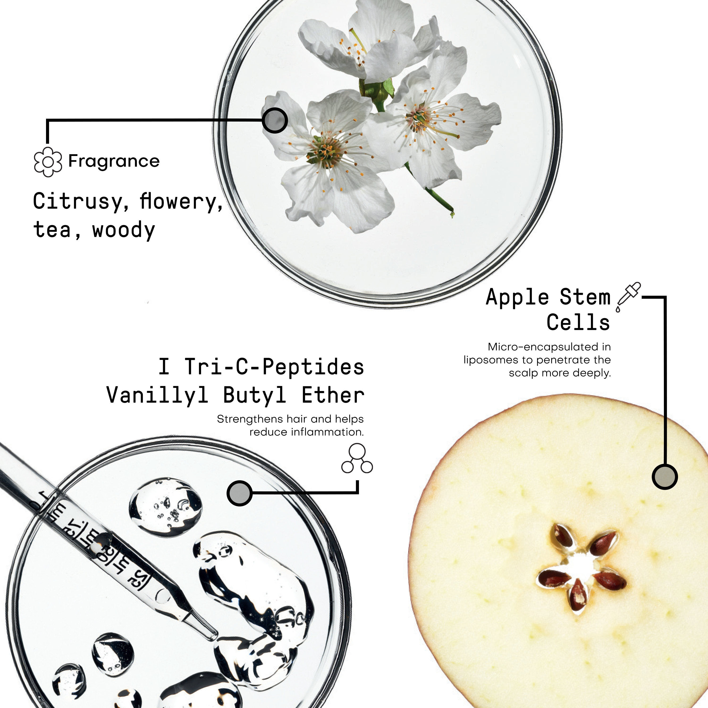 Densifying Ingredients