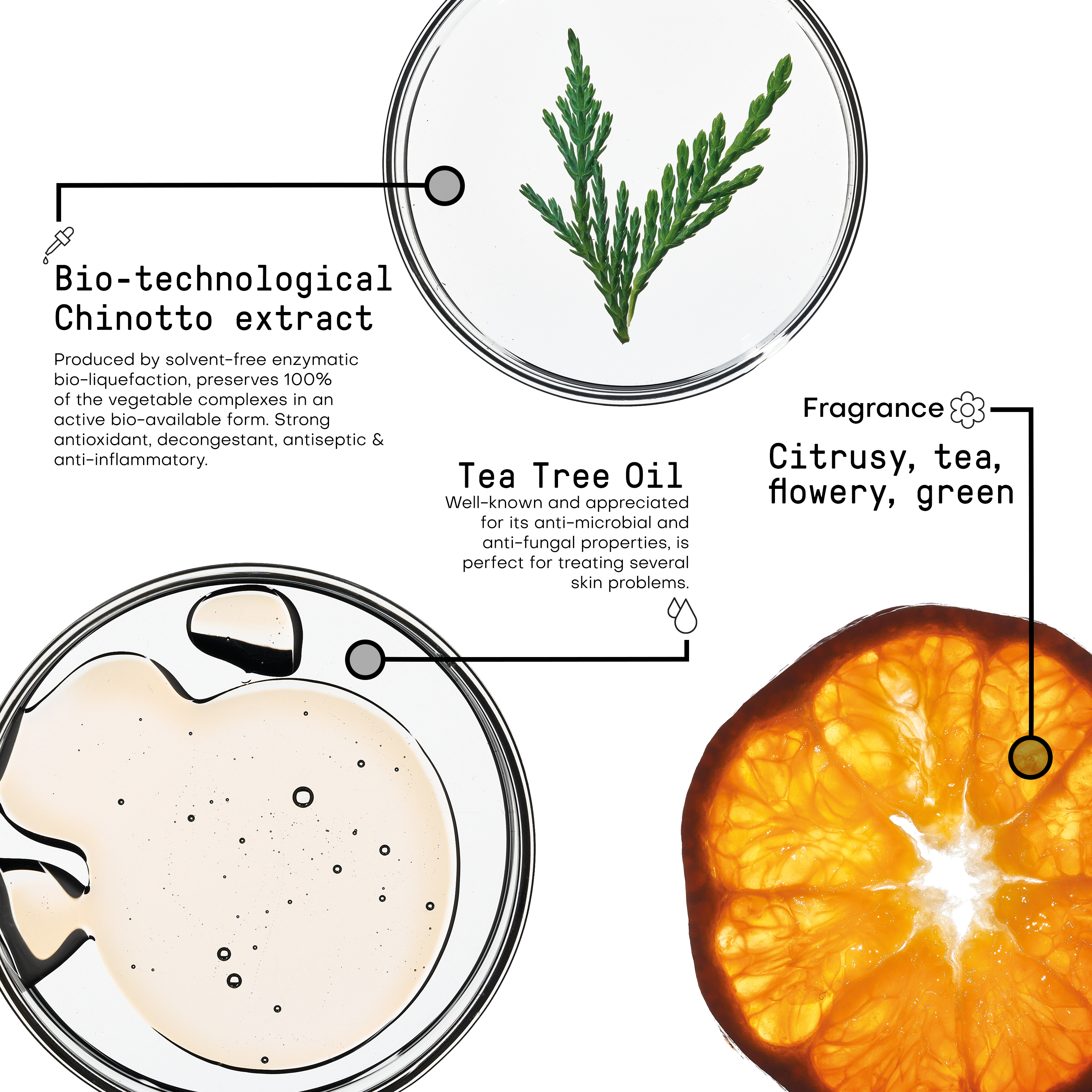 Purifying Ingredients