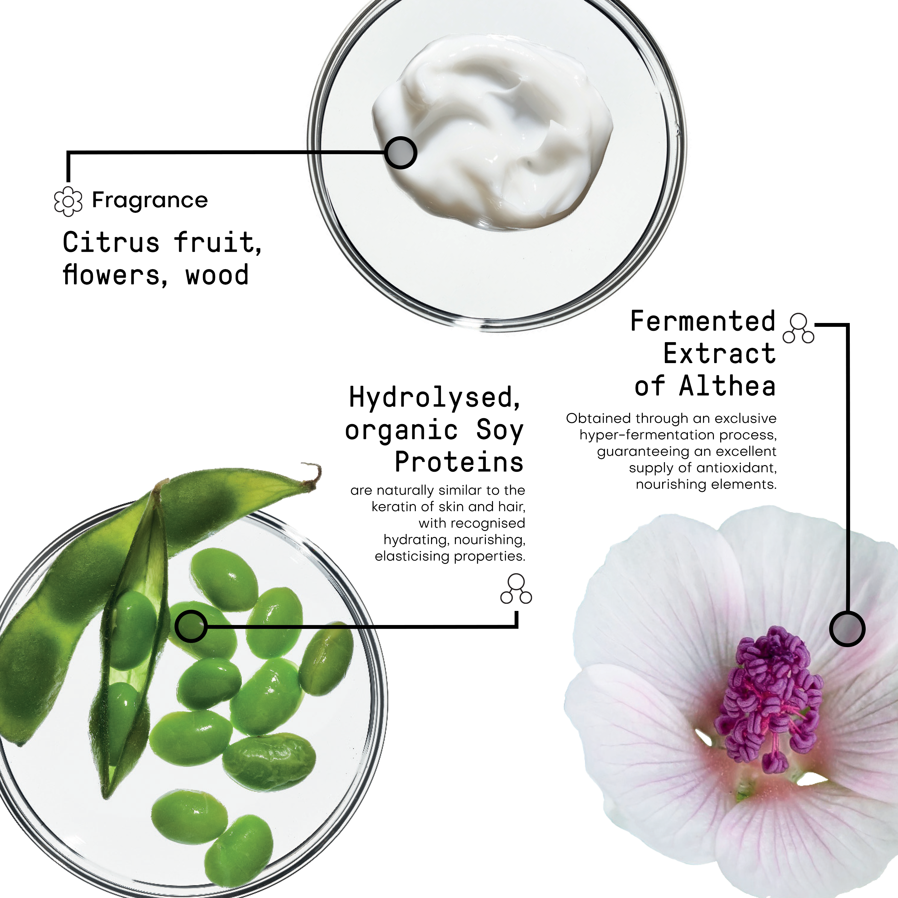 Love Extension Ingredients