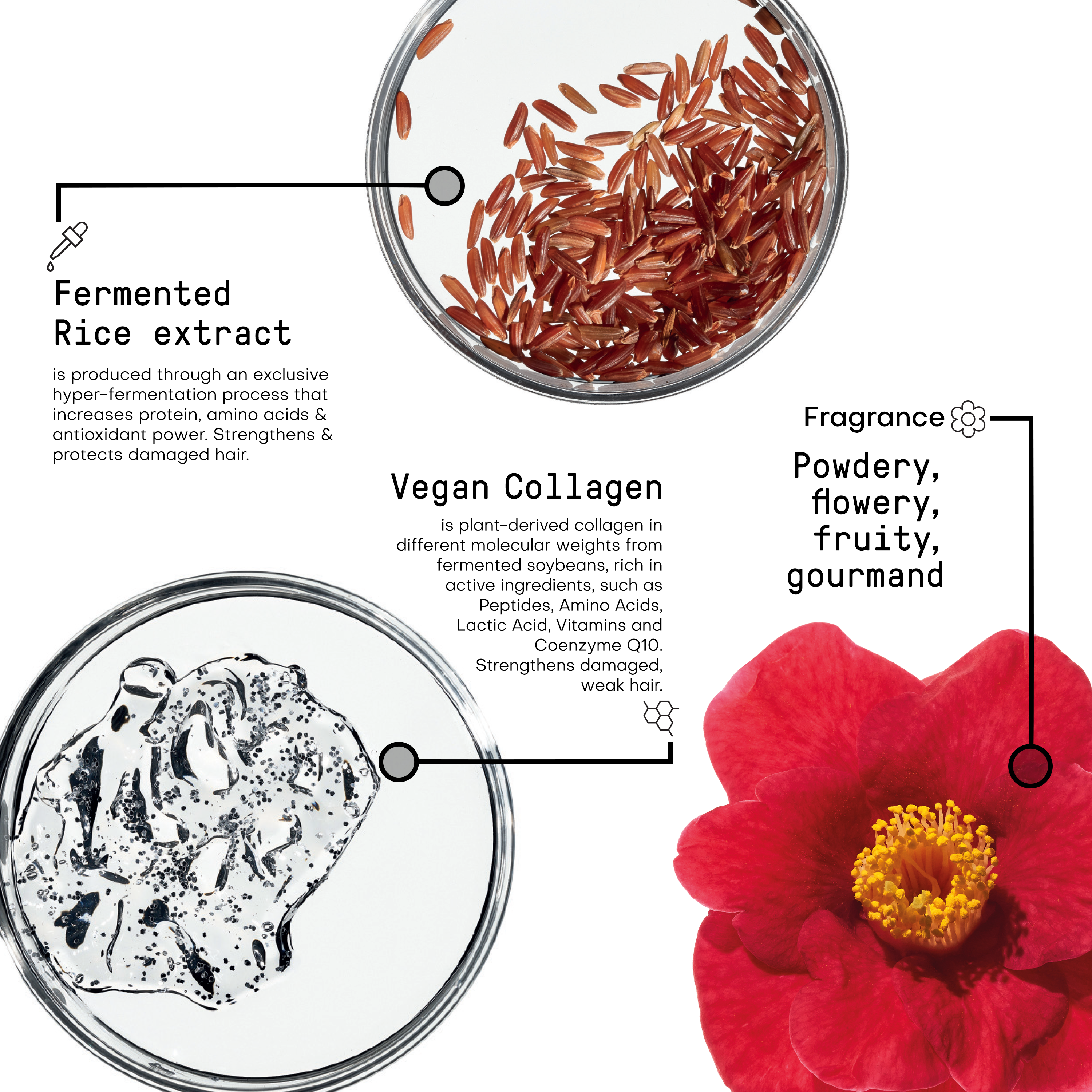 Restructure Ingredients