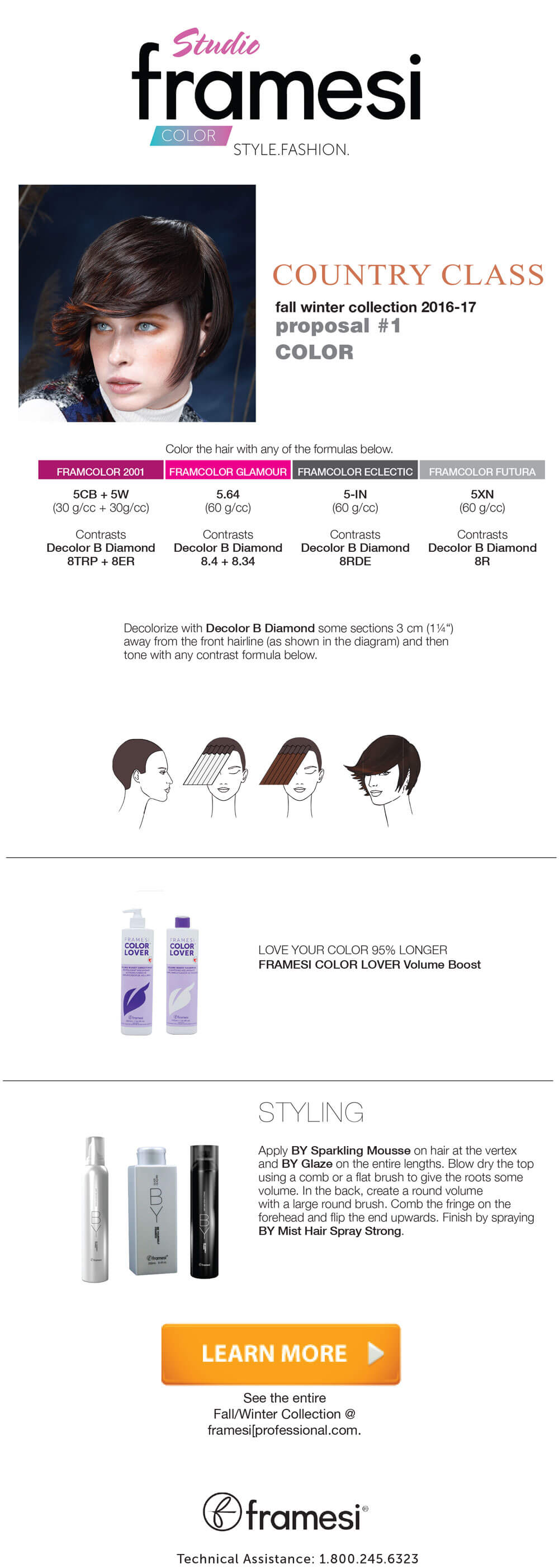 fis-proposal-1-color